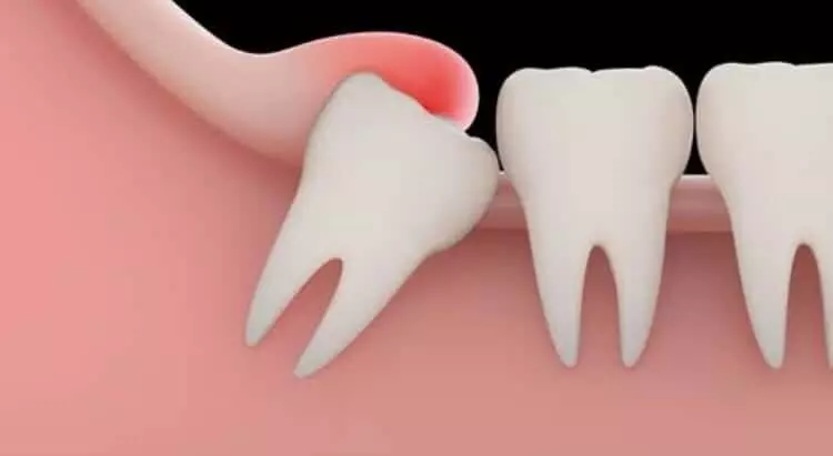 Dentist in Newbury Park