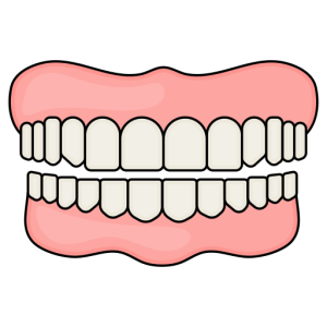 Full dentures icon