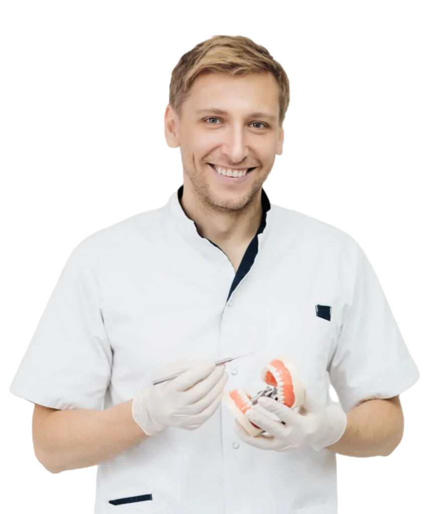 Dentist with dentures model